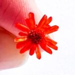 Miłosne dodatki dla niej