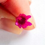 Różowy kolor kwiatka breloczek